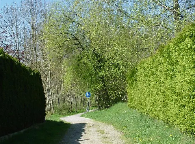 Zettler